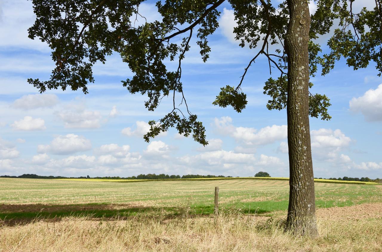 De Hagendoorn Bed & Breakfast Moorveld Exterior foto